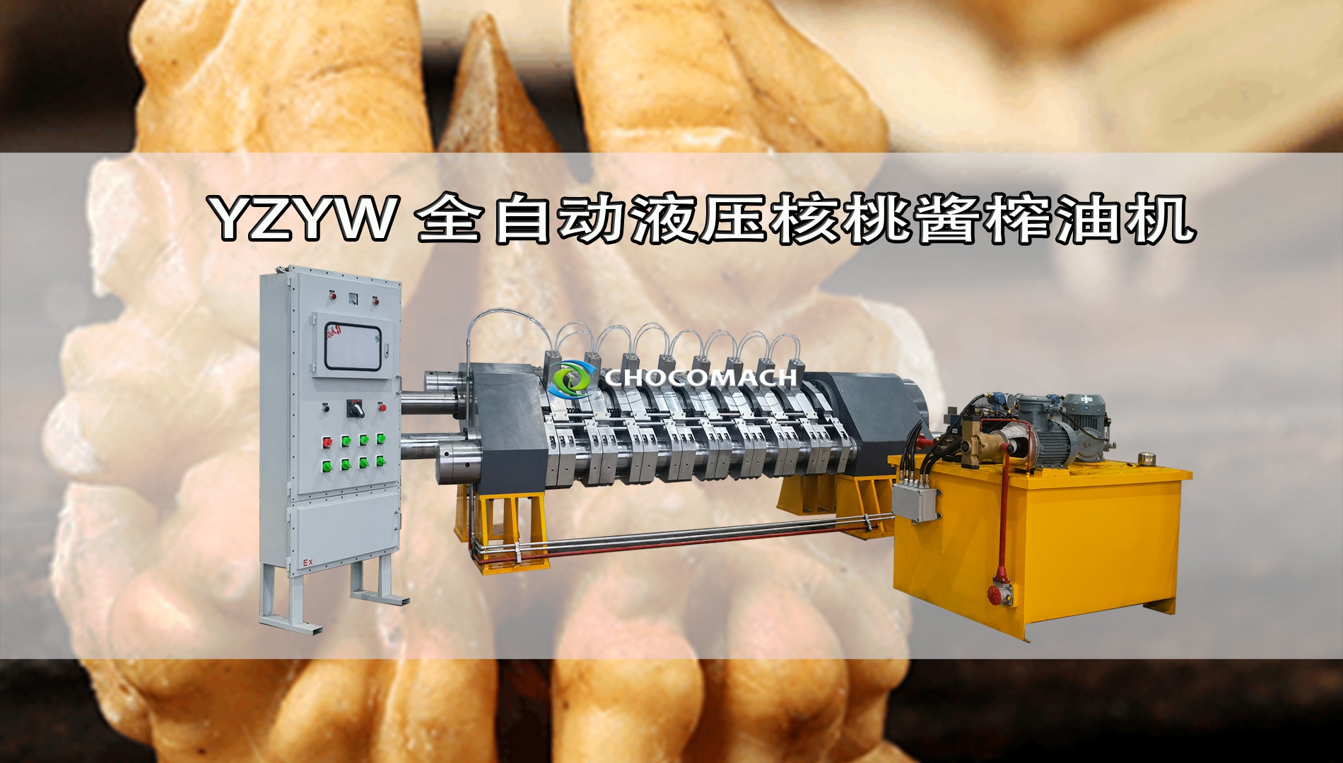 全自動(dòng)液壓核桃榨油機(jī)冷榨核桃漿視頻