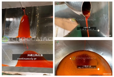 液壓榨油機(jī)，物理壓榨，品質(zhì)之選，助力辣椒加工提質(zhì)增效